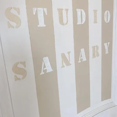 公寓 Terrasse Centre Rue Pietonne 滨海萨纳里