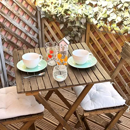 Terrasse Centre Rue Pietonne 公寓 *